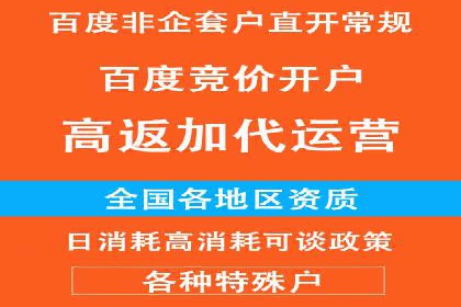 行业领先企业的网络推广与竞价经验